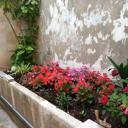 Zela 1 * Korčula